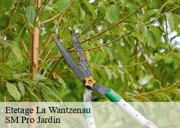Etetage la-wantzenau-67610 SM Pro Jardin