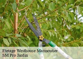 Etetage westhouse-marmoutier-67440 SM Pro Jardin