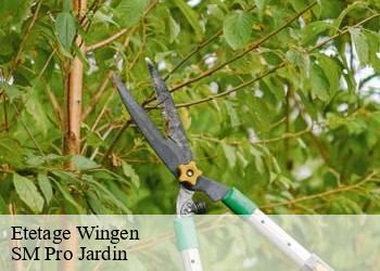 Etetage wingen-67510 SM Pro Jardin