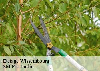 Etetage wissembourg-67160 SM Pro Jardin