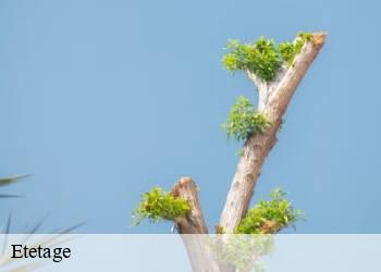 Etetage