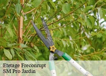 Etetage freconrupt-67130 SM Pro Jardin