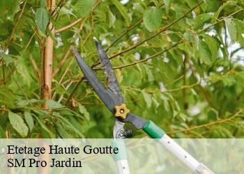 Etetage  haute-goutte-67130 SM Pro Jardin