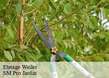 Etetage weiler-67160 SM Pro Jardin