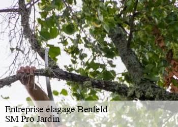 Entreprise élagage benfeld-67230 SM Pro Jardin