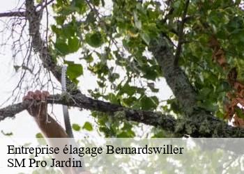 Entreprise élagage bernardswiller-67210 SM Pro Jardin