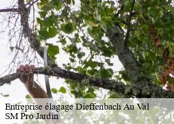 Entreprise élagage dieffenbach-au-val-67220 SM Pro Jardin