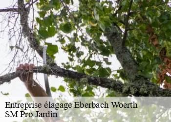 Entreprise élagage  eberbach-woerth-67110 SM Pro Jardin