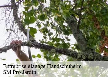 Entreprise élagage handschuheim-67117 SM Pro Jardin