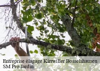 Entreprise élagage  kirrwiller-bosselshausen-67330 SM Pro Jardin