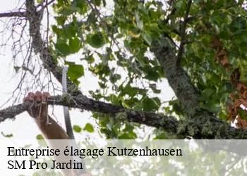 Entreprise élagage  kutzenhausen-67250 SM Pro Jardin