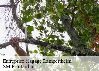 Entreprise élagage  lampertheim-67450 SM Pro Jardin