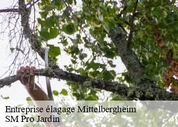 Entreprise élagage  mittelbergheim-67140 SM Pro Jardin