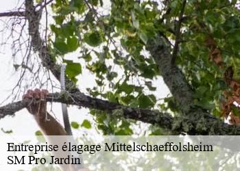 Entreprise élagage mittelschaeffolsheim-67170 SM Pro Jardin