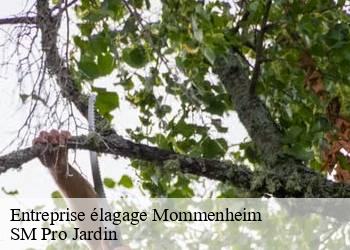 Entreprise élagage  mommenheim-67670 SM Pro Jardin