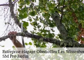 Entreprise élagage  oberhoffen-les-wissenbour-67160 SM Pro Jardin
