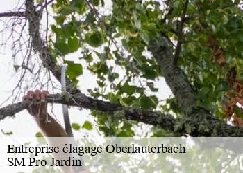 Entreprise élagage oberlauterbach-67160 SM Pro Jardin