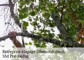 Entreprise élagage obersoultzbach-67330 SM Pro Jardin