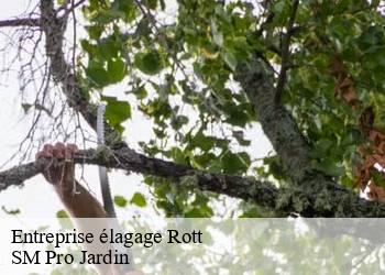 Entreprise élagage  rott-67160 SM Pro Jardin