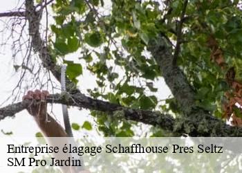 Entreprise élagage  schaffhouse-pres-seltz-67470 SM Pro Jardin