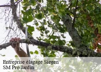 Entreprise élagage  siegen-67160 SM Pro Jardin