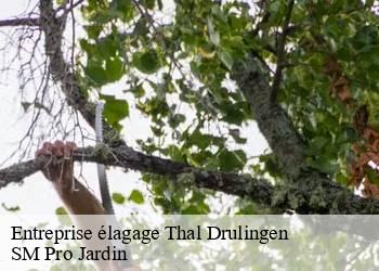 Entreprise élagage thal-drulingen-67320 SM Pro Jardin