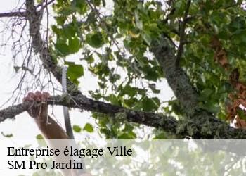 Entreprise élagage ville-67220 SM Pro Jardin