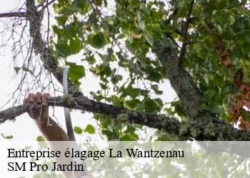 Entreprise élagage  la-wantzenau-67610 SM Pro Jardin