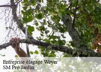 Entreprise élagage weyer-67320 SM Pro Jardin