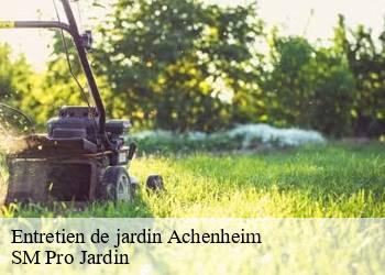 Entretien de jardin achenheim-67204 SM Pro Jardin