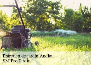 Entretien de jardin andlau-67140 SM Pro Jardin