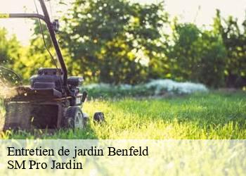 Entretien de jardin  benfeld-67230 SM Pro Jardin