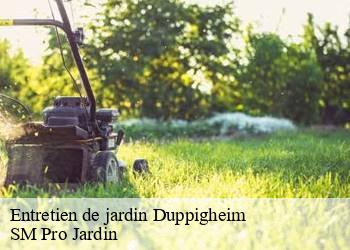 Entretien de jardin  duppigheim-67120 SM Pro Jardin