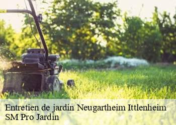 Entretien de jardin  neugartheim-ittlenheim-67370 SM Pro Jardin