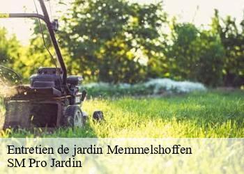 Entretien de jardin  memmelshoffen-67250 SM Pro Jardin