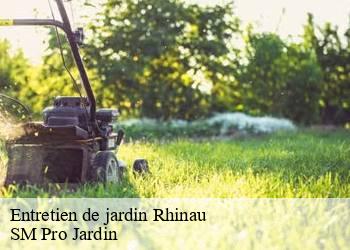 Entretien de jardin  rhinau-67860 SM Pro Jardin