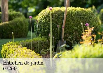 Entretien de jardin 67260