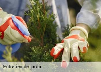 Entretien de jardin