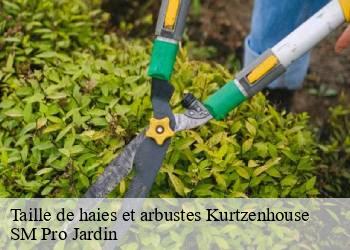 Taille de haies et arbustes  kurtzenhouse-67240 SM Pro Jardin