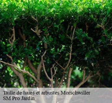 Taille de haies et arbustes  67350