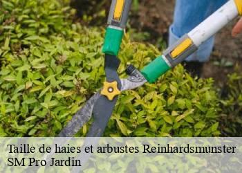 Taille de haies et arbustes  reinhardsmunster-67440 SM Pro Jardin