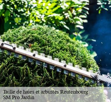 Taille de haies et arbustes  67440
