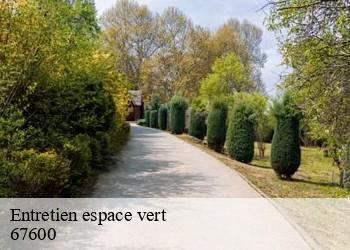 Entretien espace vert  67600