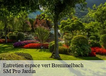 Entretien espace vert  bremmelbach-67160 SM Pro Jardin