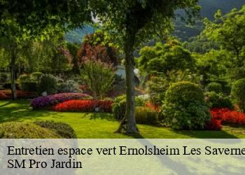 Entretien espace vert  ernolsheim-les-saverne-67330 SM Pro Jardin