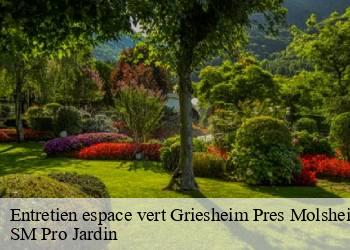 Entretien espace vert griesheim-pres-molsheim-67210 SM Pro Jardin