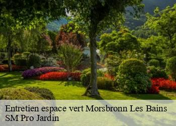 Entretien espace vert morsbronn-les-bains-67360 SM Pro Jardin