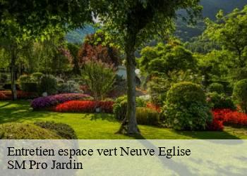 Entretien espace vert neuve-eglise-67220 SM Pro Jardin
