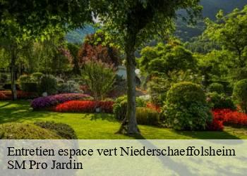 Entretien espace vert niederschaeffolsheim-67500 SM Pro Jardin