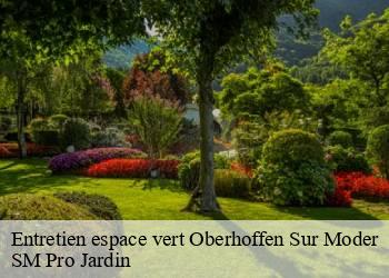 Entretien espace vert oberhoffen-sur-moder-67240 SM Pro Jardin